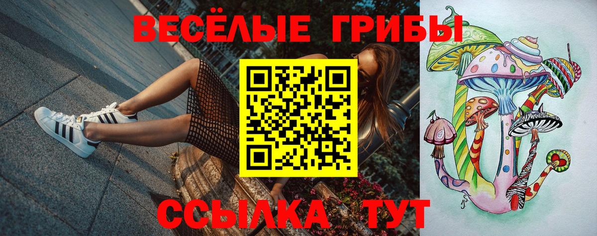 Рославль  Псилоцибиновые грибы мухоморы  Вход с VPN 
